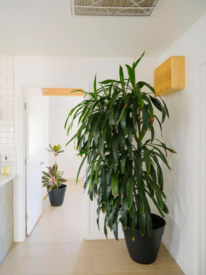 The Zen - Outdoor Shower, Gas Fireplace, Walkable To Shops & Restaurants 조슈아 트리 외부 사진